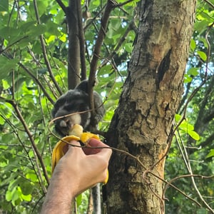 Matadeiro Hike - Stunning! by David