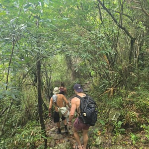 Matadeiro Hike - Stunning! by David