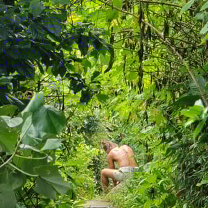 Matadeiro Hike - Stunning! by David