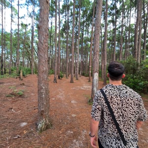 Mocambique beach - A clean beach with cr by David