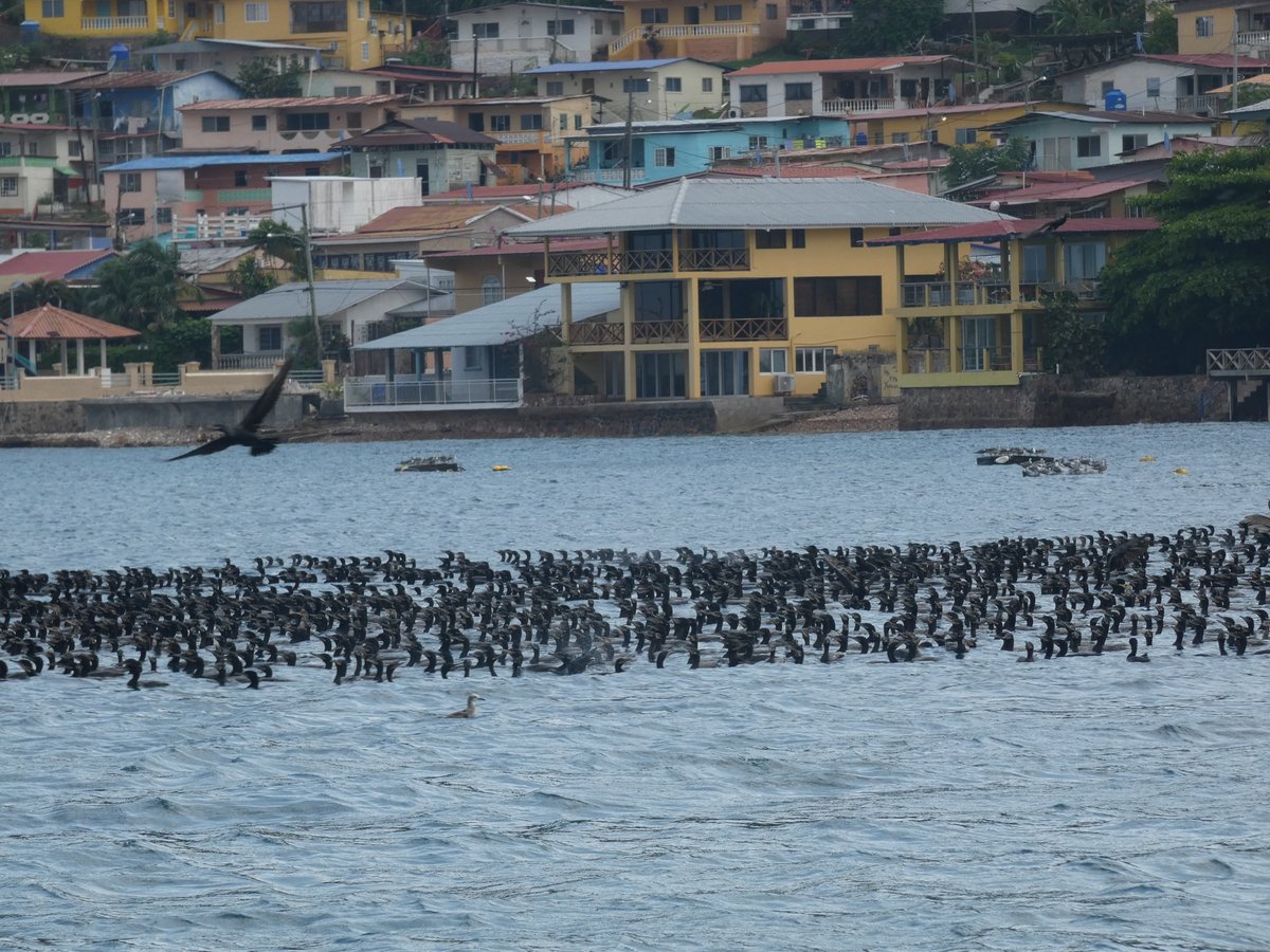 Ciudad de Panamá a Taboga
