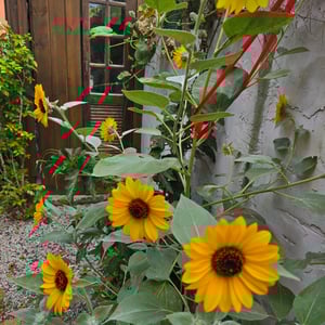 Celestial Loft - Hide Out by David