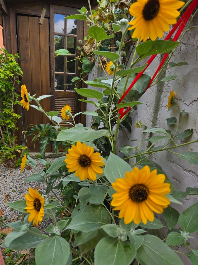 Loft Celeste - Nascondiglio, Brasile