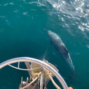 Perlas Islands To Venao | Search For Veg by Adam