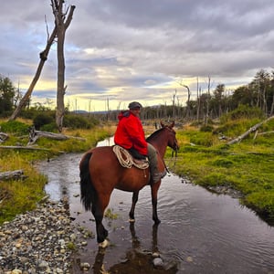 Tolhuin! 200km De USHUAIA by David