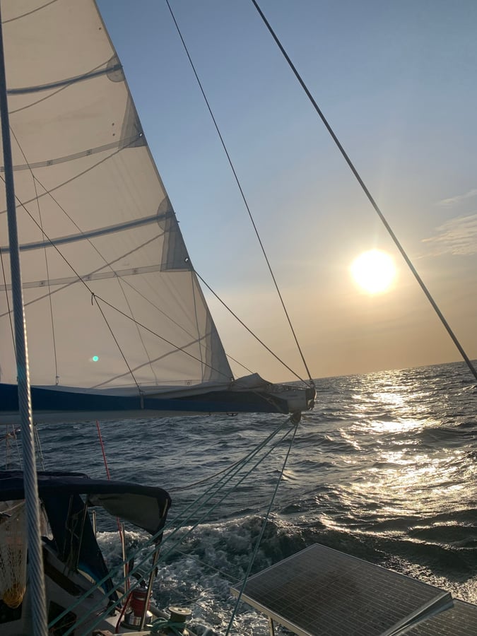 Sailing The Pacific | Sharks & Eclipse