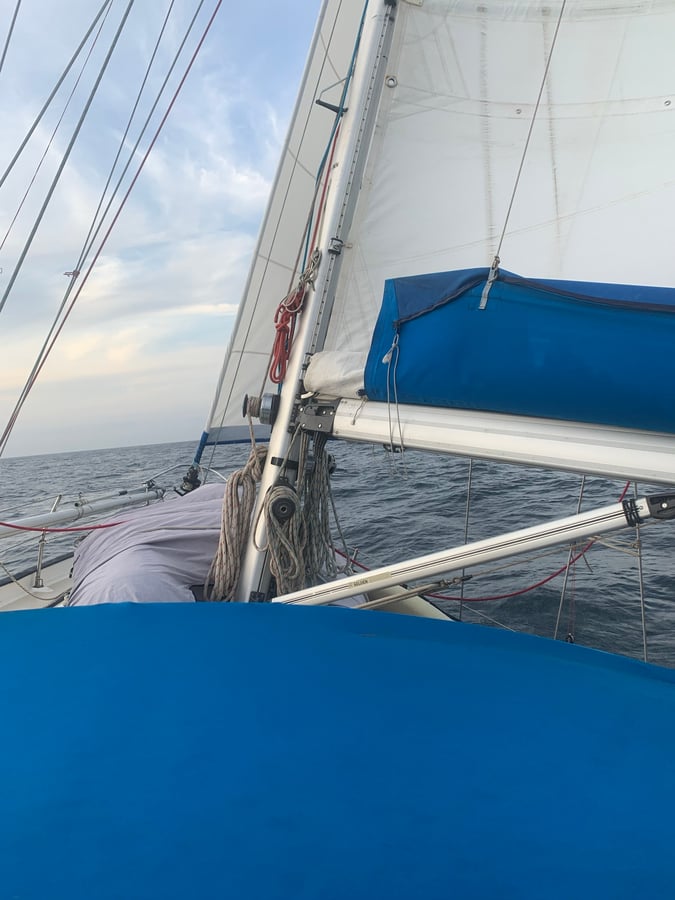 Sailing The Pacific | Sharks & Eclipse