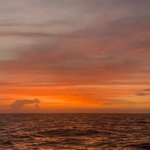 Sailing The Pacific | Sharks & Eclipse by Adam