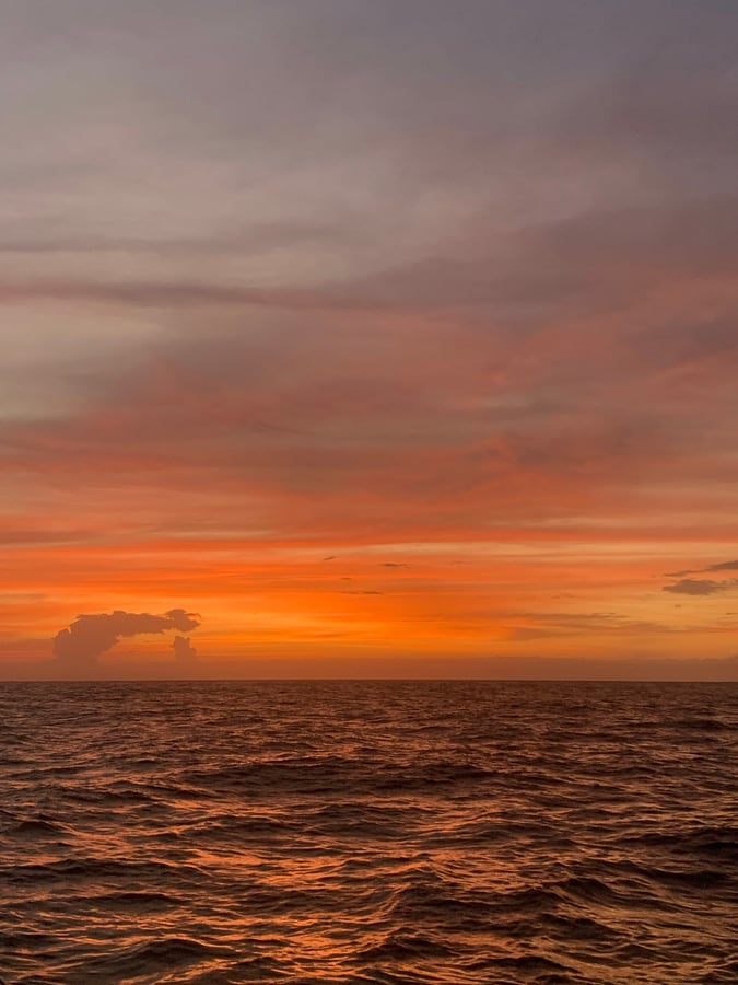 Navigando nel Pacifico | Squali ed eclissi