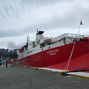 Day 1 - Antarctic by David