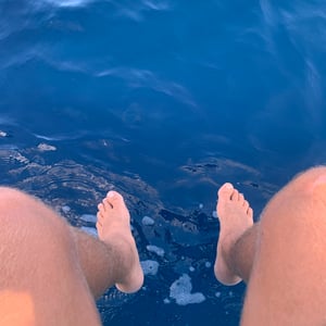 Whales & Dolphins! by Adam