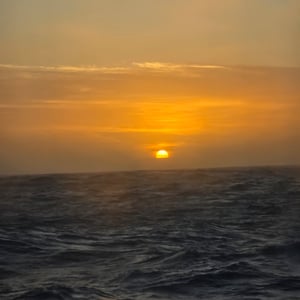 Day 2 Antarctica by David