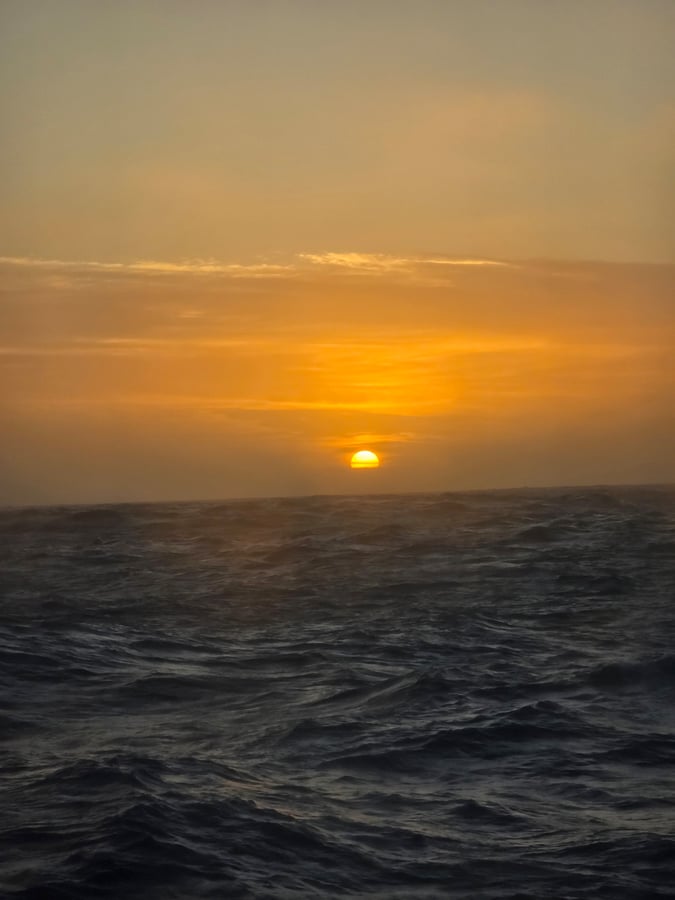 Day 2 Antarctica