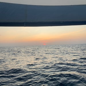 Sailing The Pacific | Gulls & Boats! by Adam