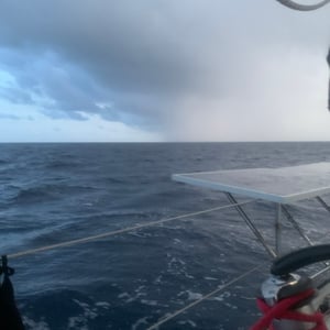 Sailing The Pacific | Gulls & Boats! by Adam