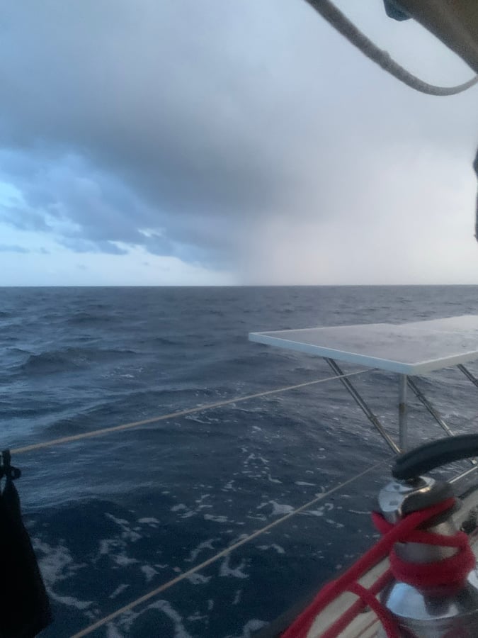 Navigation dans le Pacifique | Mouettes et bateaux !
