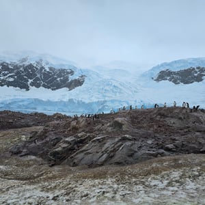 Day 4 - Antarctic Continental Landing by David