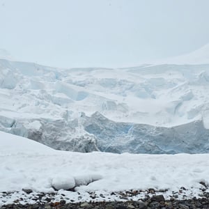 Day 5 - Paradise Bay by David