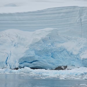 Day 6 - Zodiac Cruise - Seals by David