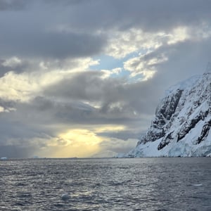 Day 6 - Zodiac Cruise - Seals by David