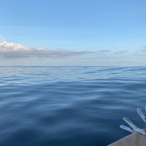 Sailing The Pacific | Slow Days by Adam