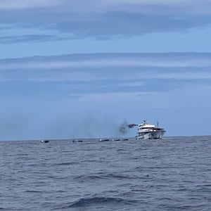 Sailing The Pacific | Boarding At Sea by Adam