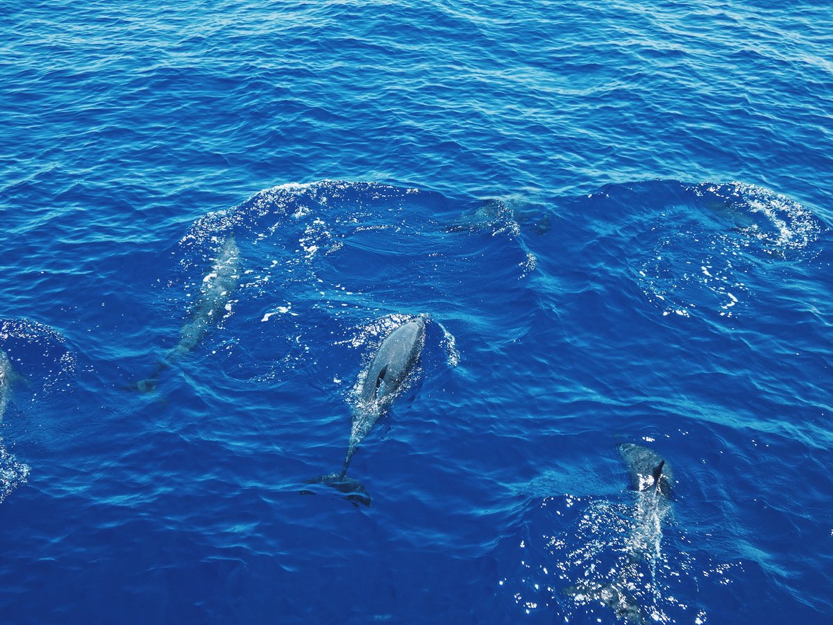 Navigation dans le Pacifique | 22 jours en mer
