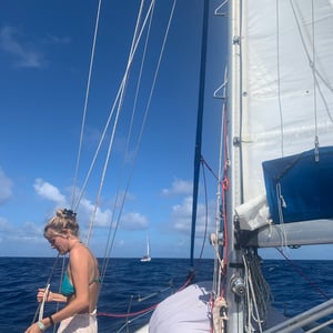 Pacific Crossing | Half Way Delivery by Adam