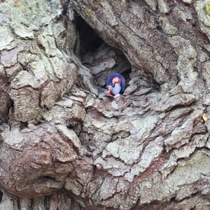 Laguna Margot by David