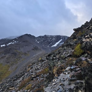 The Pan-American Trail by David