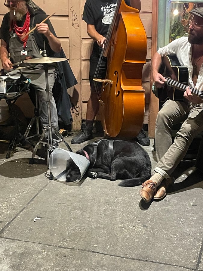 Gente encantadora, cocina criolla y jazz, Estados Unidos