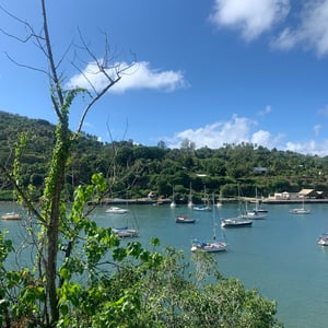 The First Few Days Back On Land! by Adam