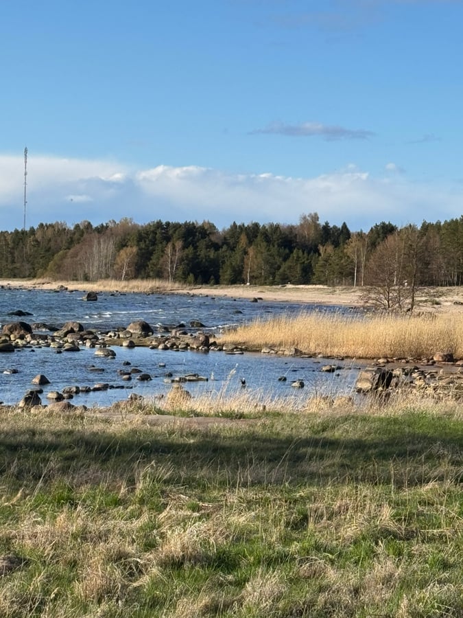 25 April. Wild Beaches In Lahemaa Park, Estonia