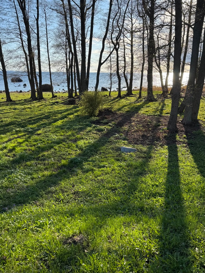 25 April. Wild Beaches In Lahemaa Park, Estonia