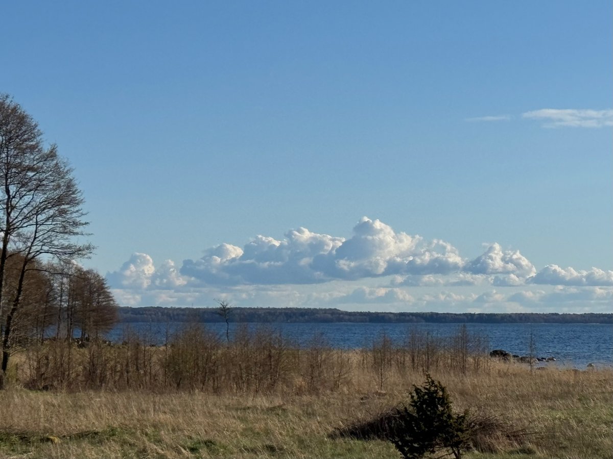 25 April. Wild Beaches In Lahemaa Park, Estonia