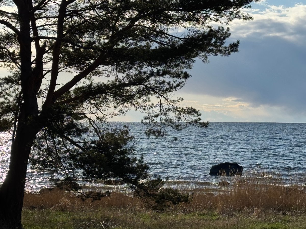 25 April. Wild Beaches In Lahemaa Park, Estland