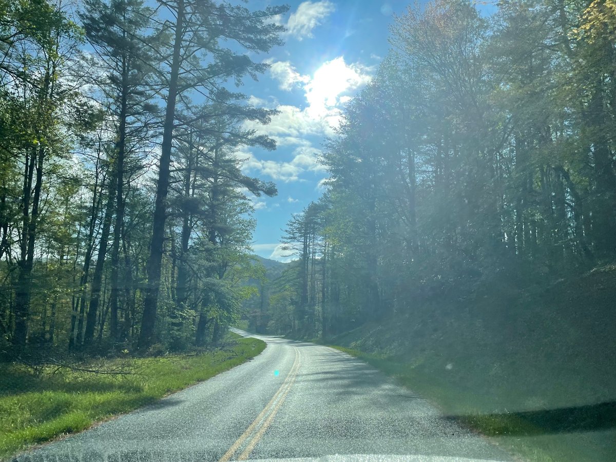 Sunshine!, United States
