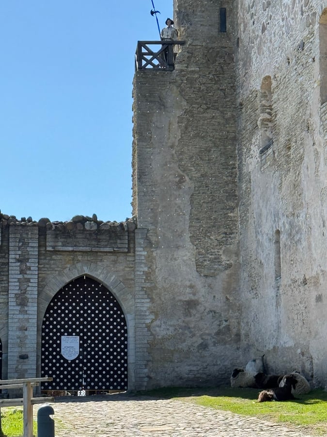 Château de Rakere, Estonie, Estonie