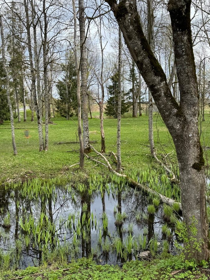 Beauty and the Bog, Estonia
