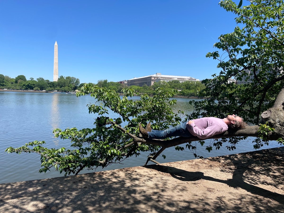 D.C Highlights, United States