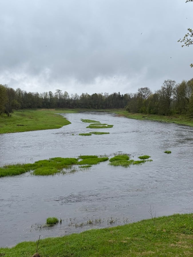 Pärnu River Estonia, Estonia