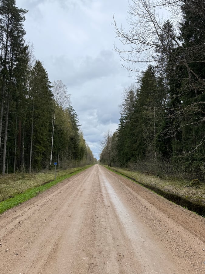 Radroute 5 - Soomaa Nationalpark, Estland