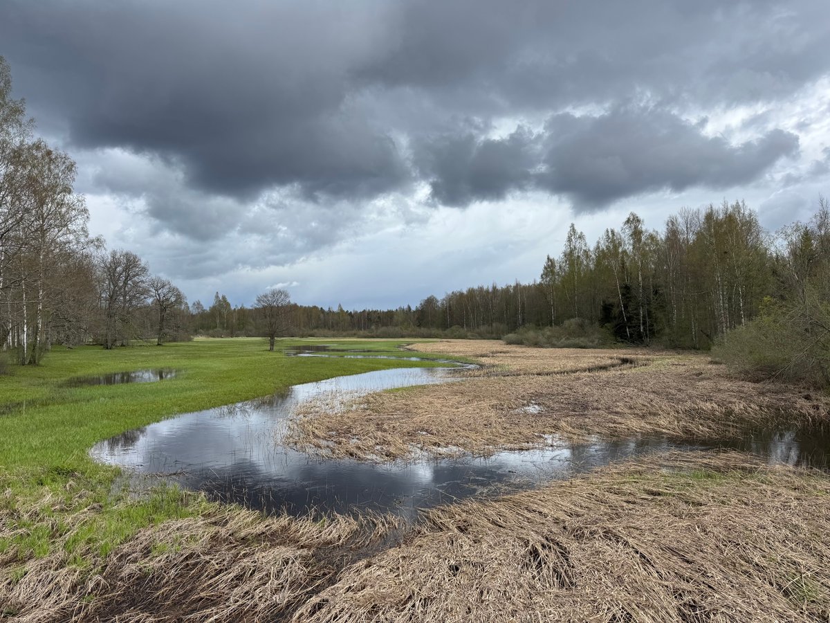 ‘Fifth Season’ Flood Water, Estonia