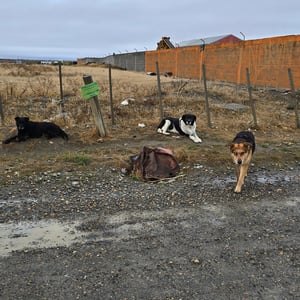 Rio GALLEGO by David