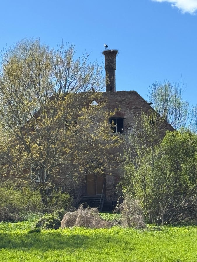 Interesting Buildings Near Otepää, Estonia