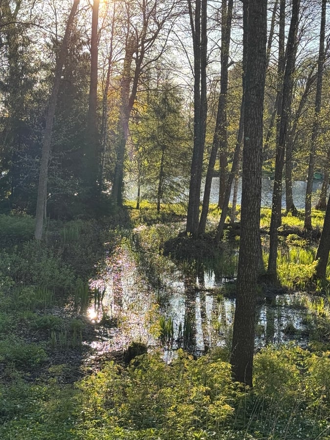 The Lake at Otepää, Estonia