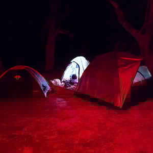 Laguna Tomb by David