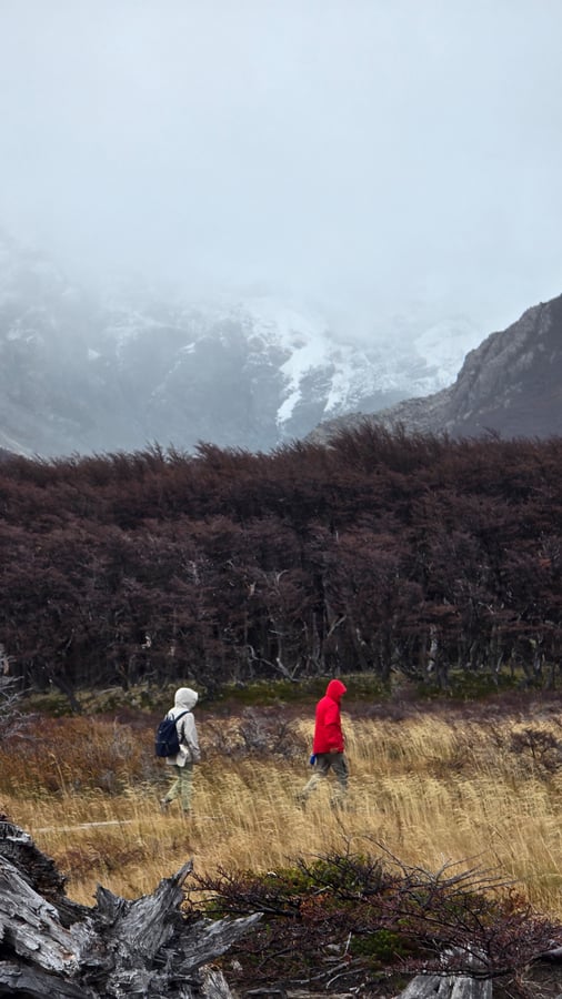 Il belvedere del ghiacciaio Chalten, Argentina