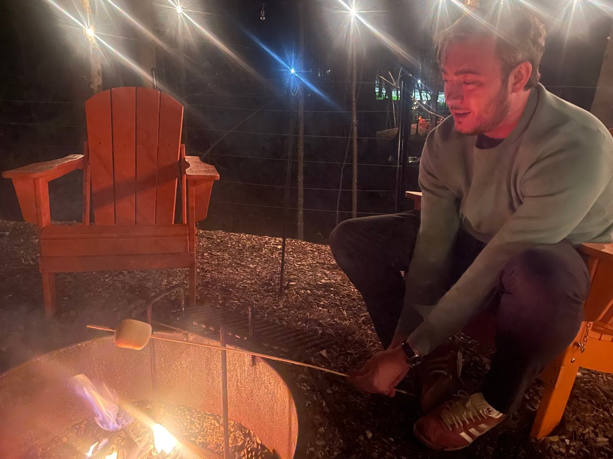 Night In The Woods, United States