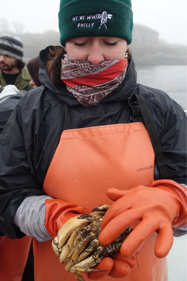 Lobstering, United States